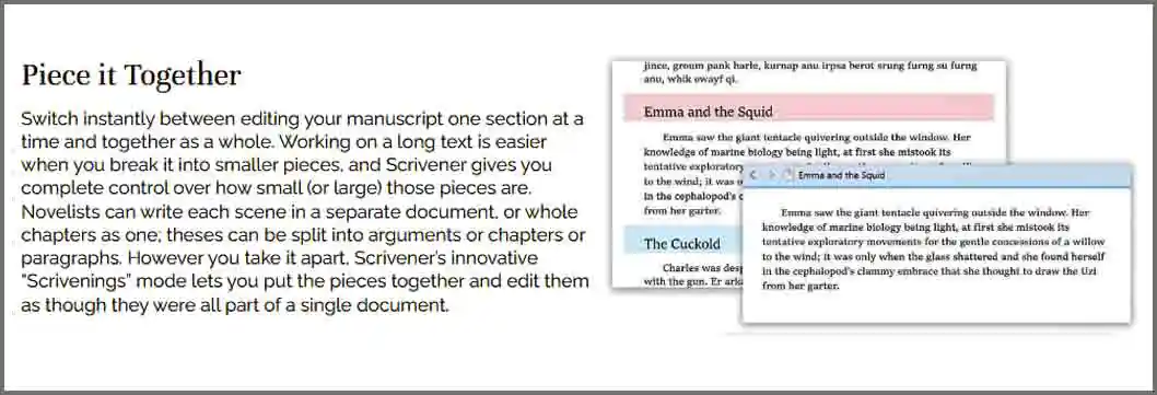Find The Best KDP Tools For Self-Publishing Your Book Scrivener-features
